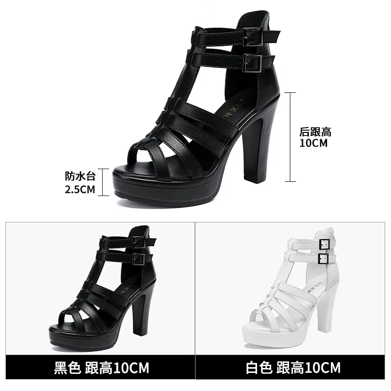 Gladiator Ladies Shoe for Wome - đánh giá và giá Casual Sandal Leather